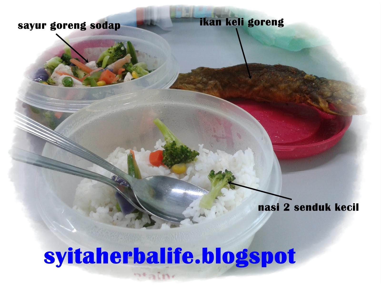 Sharing an experience: resepi diet sihat