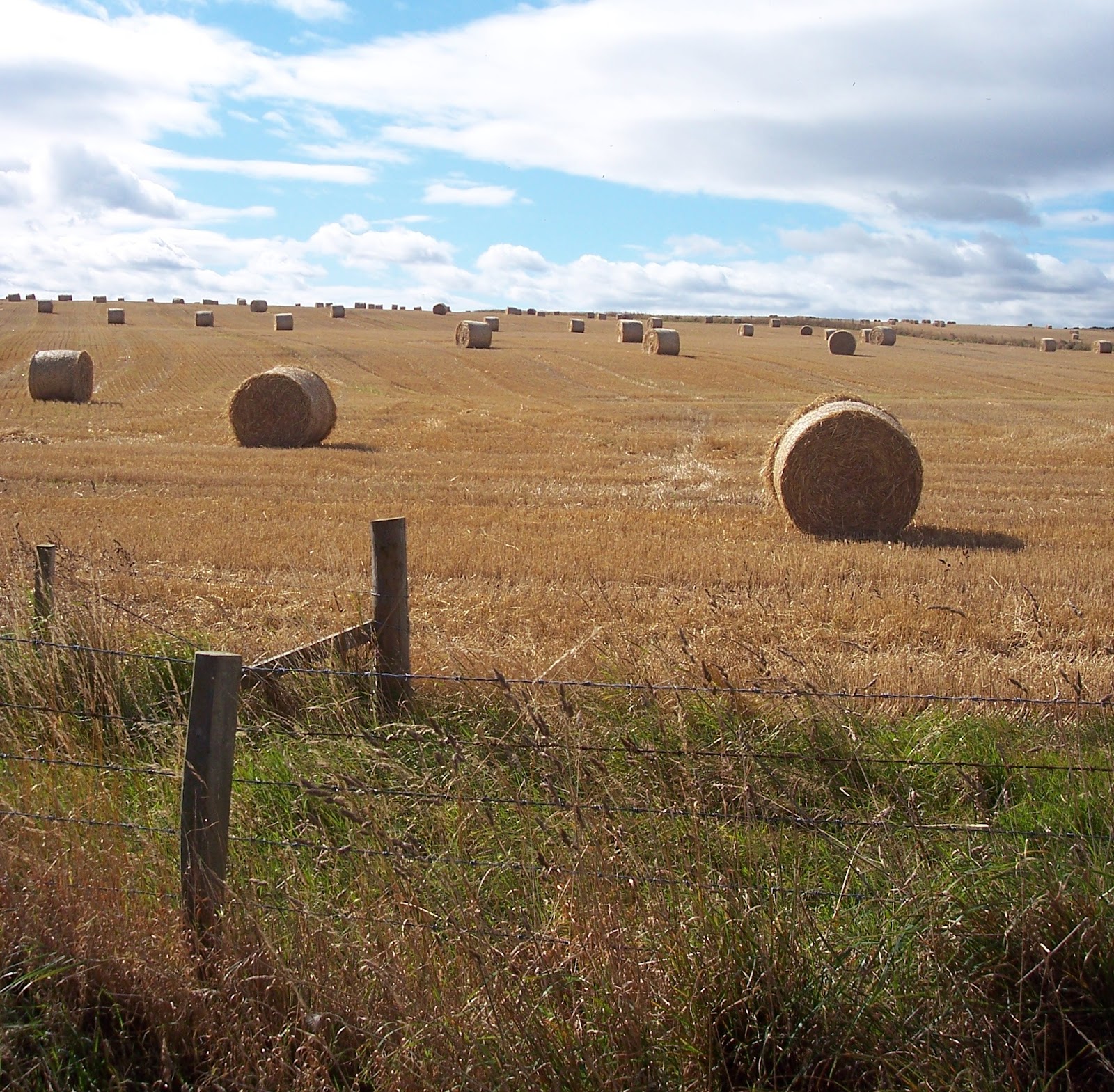 Customer farming  very best service