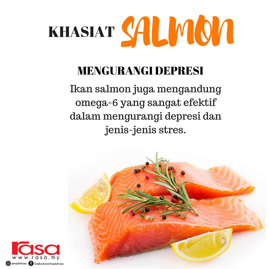 khasiat ikan salmon, harga ikan salmon, manfaat ikan salmon untuk kesihatan,