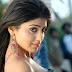 Shriya Saran stills