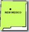 new mexico1