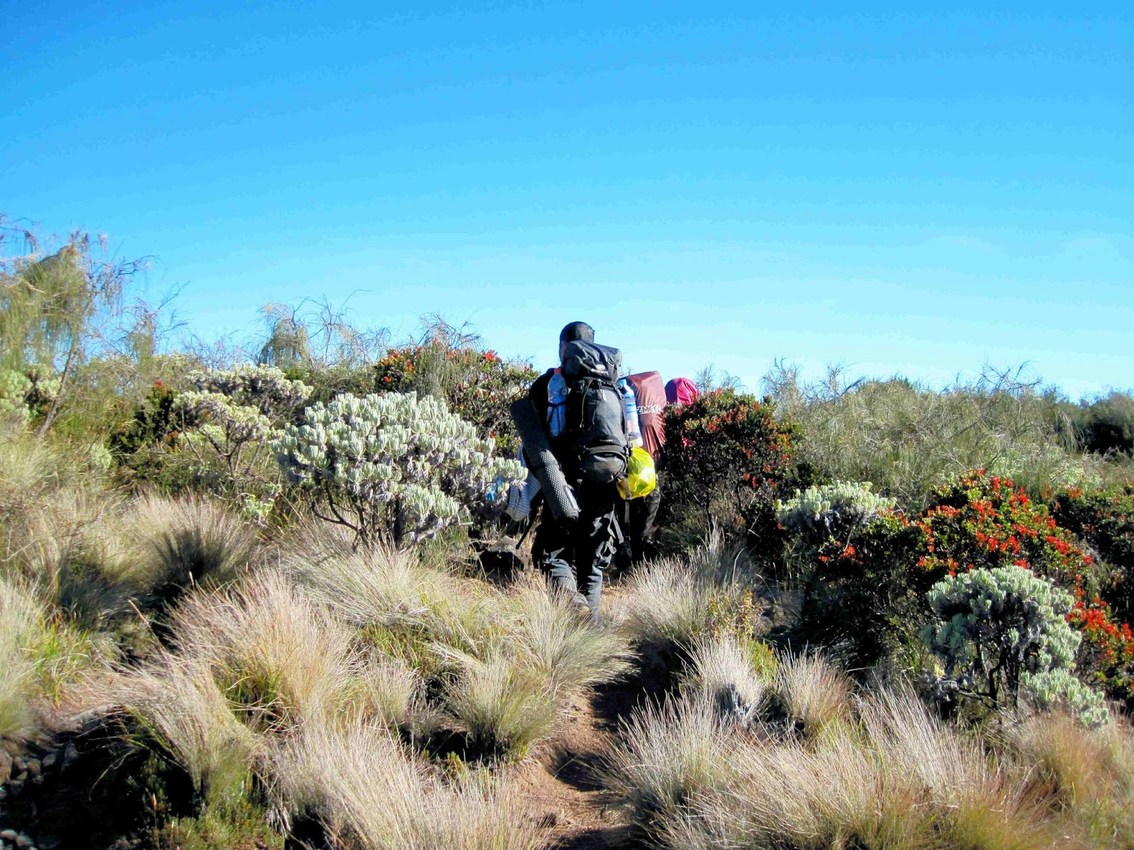 Pendakian Gunung Arjuno, Turun Via Tretes (Part III 