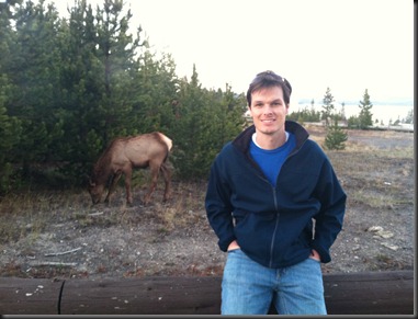 Elk