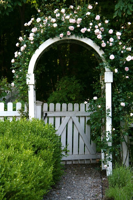 Những cổng nhà có dàn hoa hồng leo khiến ai đi qua cũng phải dừng chân ngắm nghía