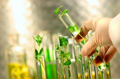 Global Biotechnology Separation Systems Market