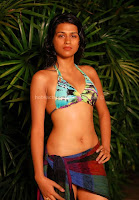 Shraddha das hot bikini photos