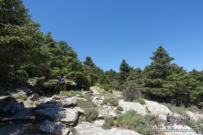 Mirador del Caucon-Tajo de la Caina-Peñón de los Enamorados