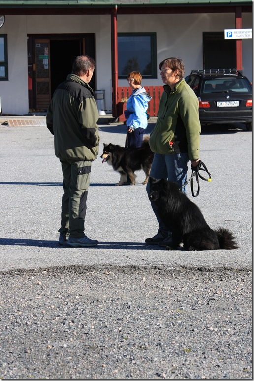 Lapphundtreff 19.09.09 020