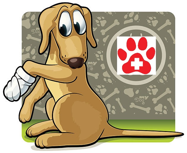 primeros-auxilios-para-perros-cachorros-en-casa