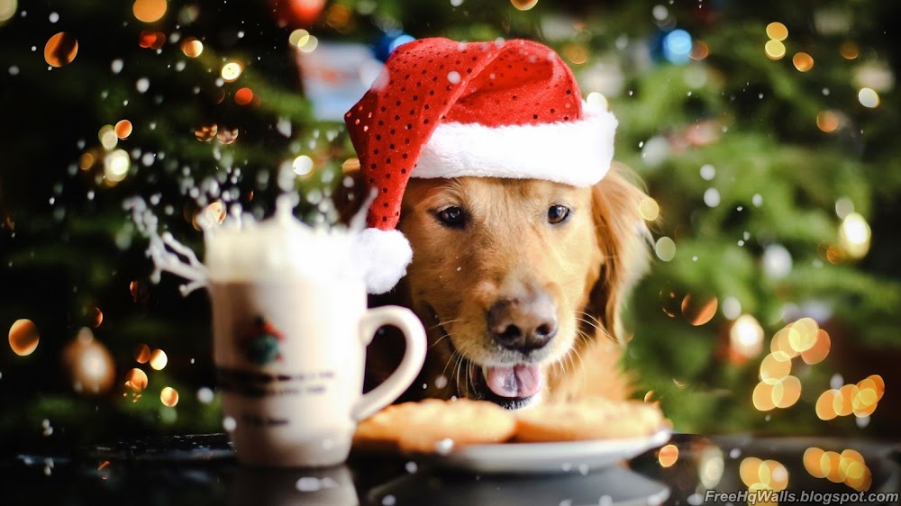 Beautiful Christmas Dog Wallpaper