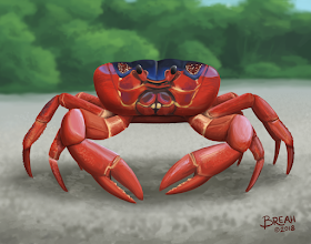 Christmas Island Red Crab