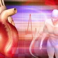 Nutrisi Terbaik untuk Turunkan Kolesterol Jahat