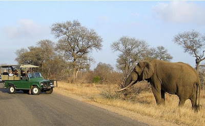 kruger south africa