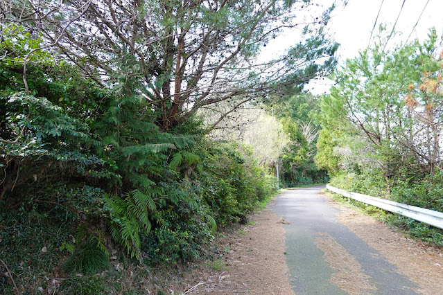 鳥取県東伯郡北栄町東高尾　農道