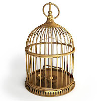 Circular Bird Cage