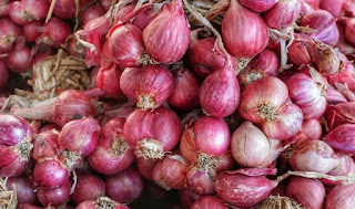 Kumpulan Jurnal Pasca Panen Bawang Merah 