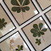 Framing Pressed Leaves