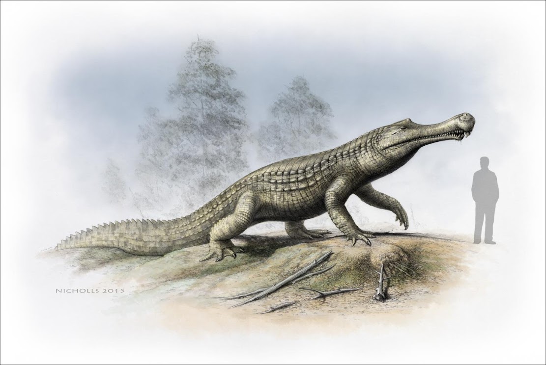 Fossils: Cold snap: Climate cooling and sea-level changes caused crocodilian retreat