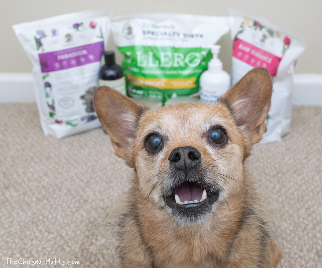 Dr. Harvey's Dog Food and Supplements
