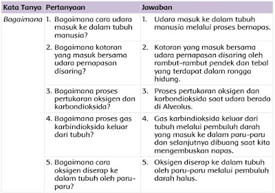 kunci jawaban halaman 16, 17, 18