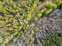 Drohnenfotografie Landschaftsfotografie DJI Mini 3 Pro Weserbergland Goldbeck Olaf Kerber