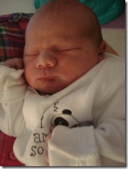 The_Niece______005