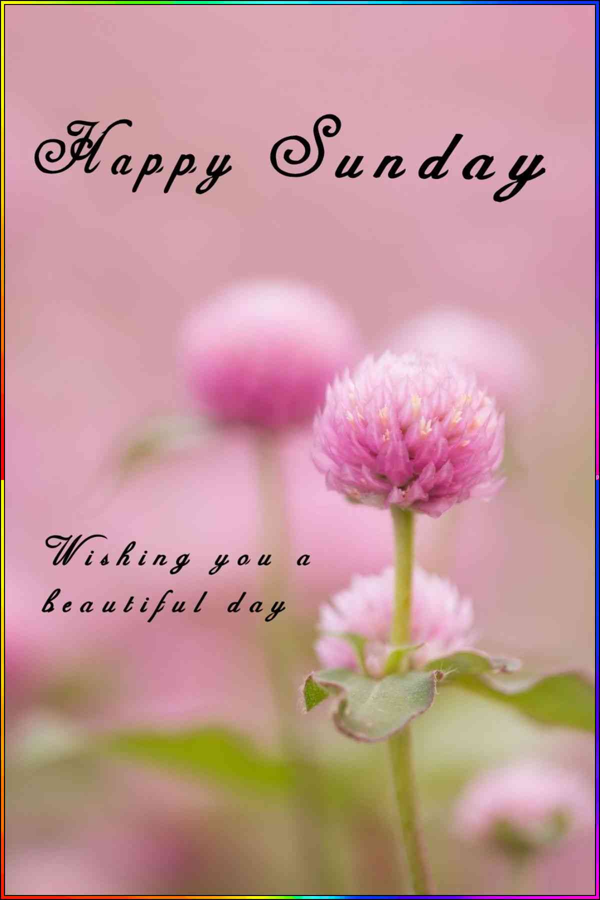 pictures of happy sunday
