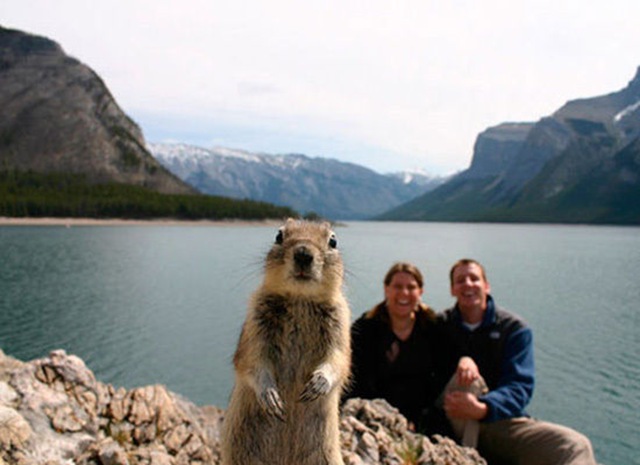 PHOTO OF THE DAY squirrel bomb