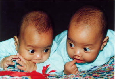Foto Bayi Kembar Yang Lucu ~ Kumpulan Tips dan Seputar 