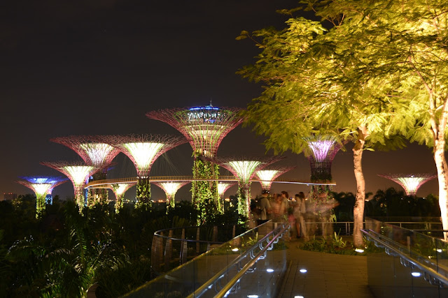 Gardens by the Bay at night supertrees