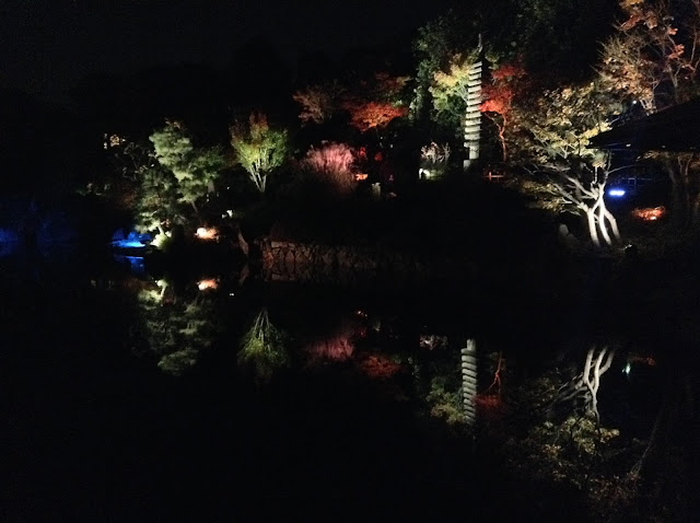 Mejiro Garden autumn light up