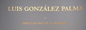 Luis Gonzalez Palma, Constelaciones, Intangibles, Fotografía, Guatemala, PhotoEspaña, Fundación Telefónica, Exposiciones temporales, Madrid, Yvonne Brochard, Victim of art, Blogs de arte, Voa-Gallery, 