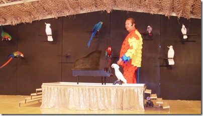 Lo show dei pappagalli