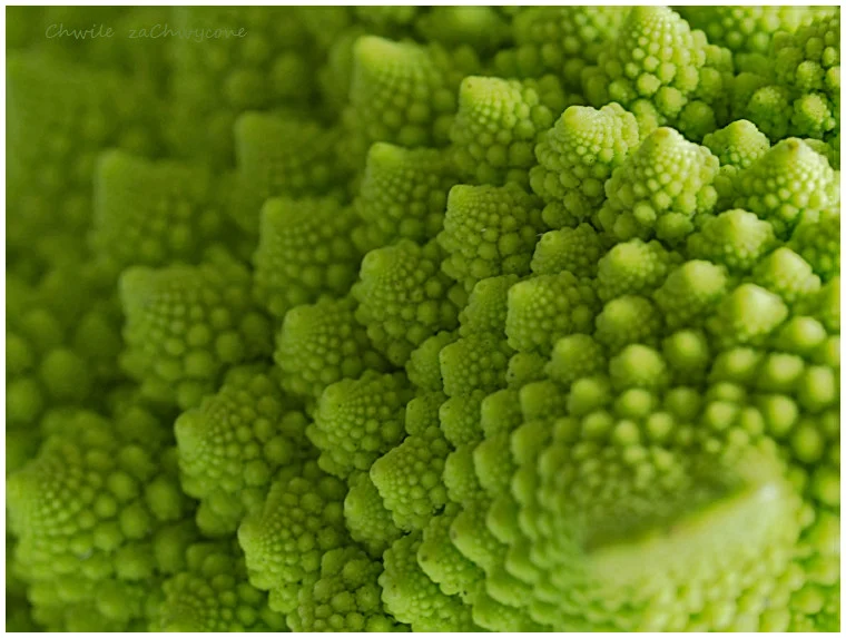 Romanesco, kalafior rzymski, kalafior romański