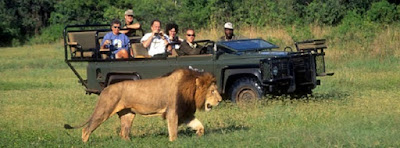 Tourists in Kenya