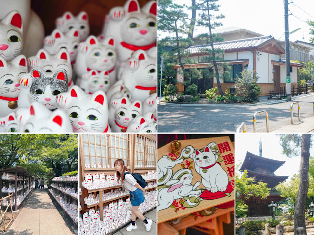 【東京】觀光．被大大小小的招福貓包圍著有著滿滿的幸福感｜豪德