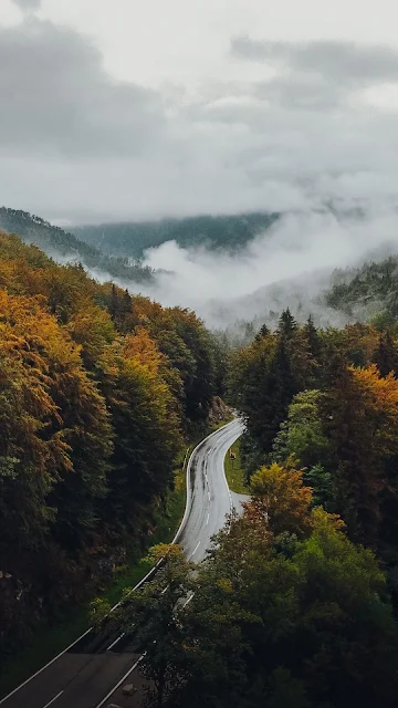 River Road, Forest, Autumn, Clouds