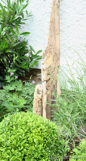 courtyard 011