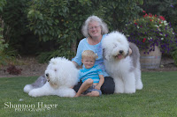 Shannon Hager Photography, Old English Sheepdog, Snowdowne