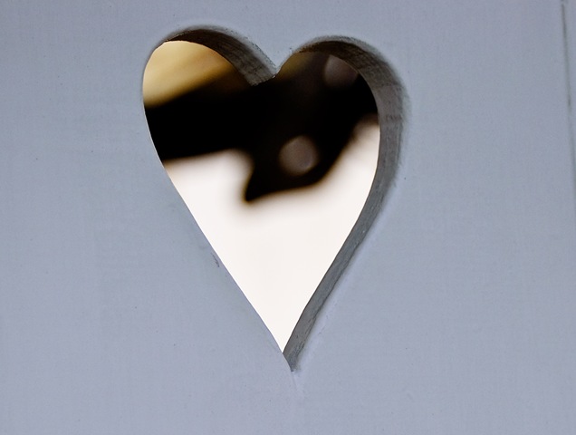 heartfence