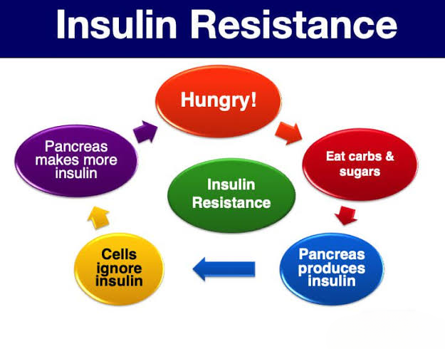 Understanding Insulin Resistance: Causes and Effects