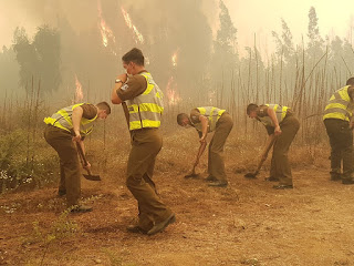 ONEMI entrega información actualizada por incendios forestales "TODO CHILE APOYANDO" 