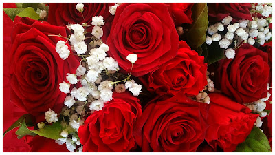 bouquet-roses-rouges-fleurs-blanches