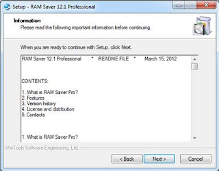 RAM Saver Professional 12.1 Full + Serial