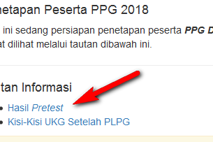 Hasil Pretest 2018 Sudah Keluar, Cek Di Http://Ap2sg.Sertifikasiguru.Id/Pub/Index.Php