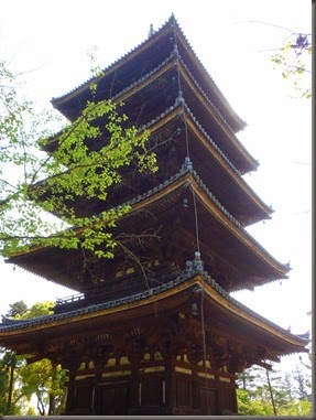 P1090918