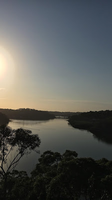 Morning Walks at Oatley Park