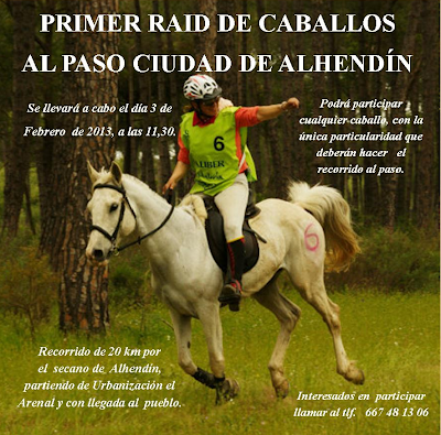 PRIMER RAID DE CABALLOS AL PASO CIUDAD DE ALHENDÍN (03/02/2013)
