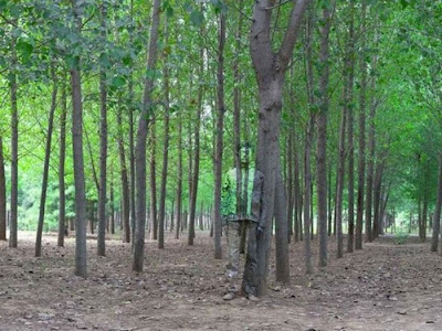 Incredible Camouflage Art by Liu Bolin Seen On lolpicturegallery.blogspot.com