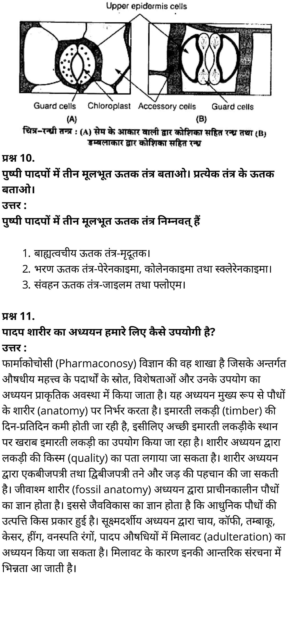 कक्षा 11 जीव विज्ञान अध्याय 6 के नोट्स हिंदी में एनसीईआरटी समाधान,   class 11 Biology Chapter 6,  class 11 Biology Chapter 6 ncert solutions in hindi,  class 11 Biology Chapter 6 notes in hindi,  class 11 Biology Chapter 6 question answer,  class 11 Biology Chapter 6 notes,  11   class Biology Chapter 6 in hindi,  class 11 Biology Chapter 6 in hindi,  class 11 Biology Chapter 6 important questions in hindi,  class 11 Biology notes in hindi,  class 11 Biology Chapter 6 test,  class 11 BiologyChapter 6 pdf,  class 11 Biology Chapter 6 notes pdf,  class 11 Biology Chapter 6 exercise solutions,  class 11 Biology Chapter 6, class 11 Biology Chapter 6 notes study rankers,  class 11 Biology Chapter 6 notes,  class 11 Biology notes,   Biology  class 11  notes pdf,  Biology class 11  notes 2021 ncert,  Biology class 11 pdf,  Biology  book,  Biology quiz class 11  ,   11  th Biology    book up board,  up board 11  th Biology notes,  कक्षा 11 जीव विज्ञान अध्याय 6, कक्षा 11 जीव विज्ञान का अध्याय 6 ncert solution in hindi, कक्षा 11 जीव विज्ञान  के अध्याय 6 के नोट्स हिंदी में, कक्षा 11 का जीव विज्ञान अध्याय 6 का प्रश्न उत्तर, कक्षा 11 जीव विज्ञान अध्याय 6 के नोट्स, 11 कक्षा जीव विज्ञान अध्याय 6 हिंदी में,कक्षा 11 जीव विज्ञान  अध्याय 6 हिंदी में, कक्षा 11 जीव विज्ञान  अध्याय 6 महत्वपूर्ण प्रश्न हिंदी में,कक्षा 11 के जीव विज्ञानके नोट्स हिंदी में,जीव विज्ञान  कक्षा 11 नोट्स pdf,